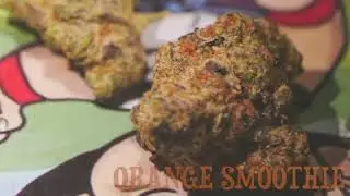 ORANGE SMOOTHIE *Bud Strain* (NJ WEEDMAN'S JOINT)