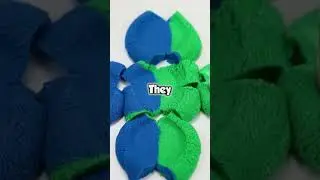 GRANDMA'S WILL MY SIBLINGS GOT $5M EACH..I GOT A RUSTY KEY..THE WORTHLESS GRANDCHILD GETS- #reddit