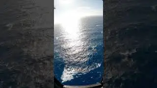 Massive Cargo Ship Alert: Man Overboard Search Begins  #cargoship #ship