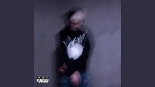 don julio (feat. Mlodyskiny)