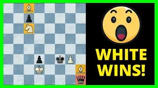 A Spectacular 1st Prize Chess Puzzle