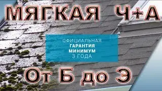 МЯГКАЯ КРОВЛЯ (Катепал) Очистка и обработка 🏠 Весь ПРОЦЕСС