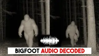 Scientists Used AI to Translate Bigfoot Sounds.. They Immediately Stopped the Test