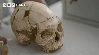 Scientists Shocked By Hybrid Human Fossils | Human | BBC Earth Science