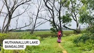 🍀Muthanallur Lake 😍 A Hidden Gem in Bangalore
