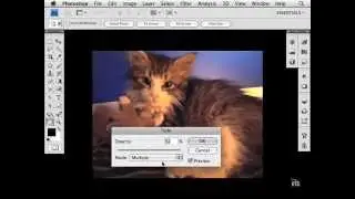 Fade Effect in Photoshop