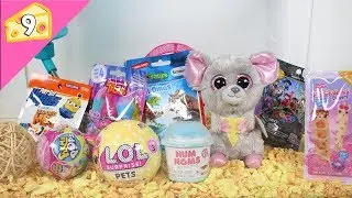 Blind Bag Mouse House #9 - LOL Surprise Pets, Num Noms Snackable Dippers, Trolls, Pikmi Pops, Coco