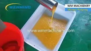 mango pulping machine fruits pulper Mango peels seeds removing, got the mango pulp