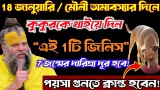 মৌনী অমাবস্যার দিনে চুপচাপ কুকুরকে খাইয়ে দিন এই 1টি ছোট জিনিস—7 জন্মের দারিদ্র্য দূর হবে