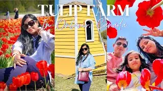 First time visiting Tulip farm | Pingle&rsquo;s Farm - Tulip festival in Ontario Canada
