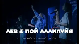 Лев, Пой Аллилуйя | LION & Sing Hallelujah The Lion Of Judah Has Overcome | Nations Church Wroclaw