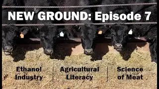 New Ground -- Episode 7: Ag Illiteracy, Meat & Alternatives, Agriculture Economy
