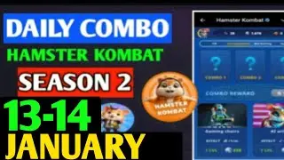 Hamster Kombat Game Dev Daily Combo | 13 January Hamster Kombat Daily Combo | Hamster Daily Combo