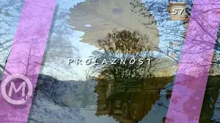 Prolaznost || Svi ti mali listovi