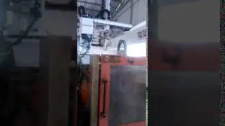 微柏小斜臂取物 swing type take out robot