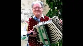 Viki Ašič V nedeljo s prijatelji - steirische harmonika Martin Perc