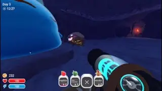 Will a tarr slime eat or try to eat rock gordo