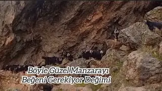 Böyle Güzel Manzaraya beğeni Gerekiyor değilmi