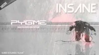 DJ Pygme - Insane [HARD DANCE/HARDSTYLE] [2013]