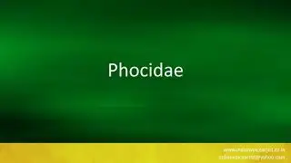 How to pronounce 