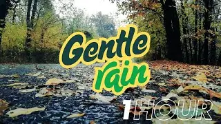 1 HOUR Gentle Calming Rainfall | Autumn Street Scene