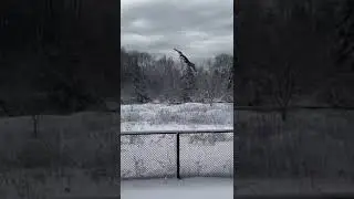 #storm #toronto #nature #snow