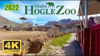 Zoofari Express Train (4K) POV - Utah's Hogle Zoo 2022