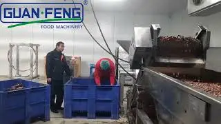 Spiral Freezer IQF Double spiral freeze dryer quick drying machine equipment