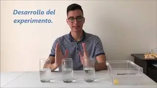 Experimento Termodinámica - Cubos de Hielo.