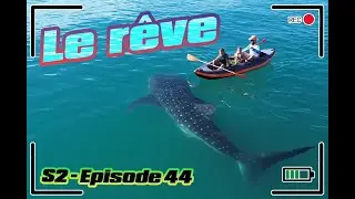 S2 - Ep 44 : Rencontre avec un gros poisson