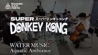 スーパードンキーコング　WATER MUSIC / Donkey Kong Country　Aquatic Ambiance
