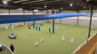 CPE Agility Non traditional Jackpot - Justin - Judge Marianne Fieseler 10.25.2025