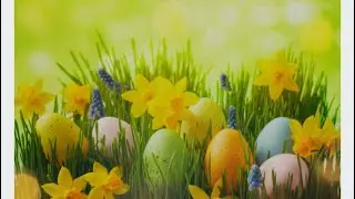 Pick eggs near beautiful big pond ❤️🙏❤️