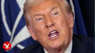 White House blames Minnesota Democrats and distances Trump from Alex Pretti &lsquo;assassin&rsquo; remarks