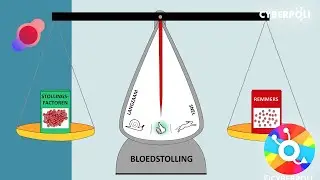 Hoe wordt trombose behandeld?