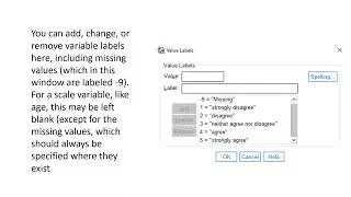 Variable View, Data View, and the IBM SPSS Toolbar (Chapter 2 Lecture 2)