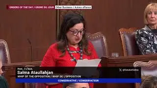 Senator Salma Ataullahjan speaks to Bill S-230 at Second Reading