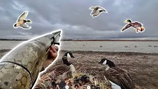 MALLARDS And WIDGEON On The Biggest North Wind Cold Front Of The Year (Big Lake Limit)