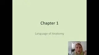 Chapter 1 Language of Anatomy