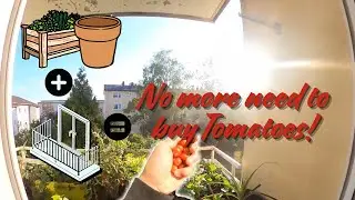 Transform your Balcony into a Food Printer! #garden