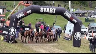Killington Vermont Spartan Race SHORT COURSE 2014 - FULL Men's Race