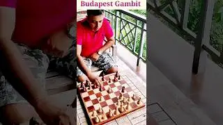 Mastering The  Budapest Gambit (Black) 🏆| #chessshorts #shorts #budapestgambit #ytshorts