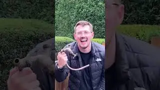 How I Lock My Gate