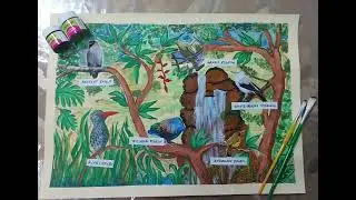Birds of Andaman and Nicobar islands...Art integrated project for school