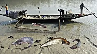 Amazing Fishing Competition Video || Village fishing competition video || Viral fishing || viral