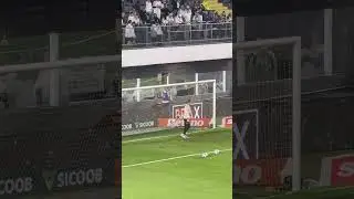 GOLEIRO GABRIEL BRAZ&Atilde;O