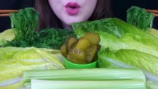 HEALTHY EATING ASMR Raw Veggie Platter - EXTREMELY SATISFYING Crunchy Sounds!