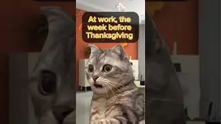 POV: Everyone&rsquo;s Sick the Week Before Thanksgiving 🤒🦃😂