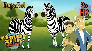&iquest;Por qu&eacute; las cebras tienen rayas? | Episodios completos | Aventuras con los Kratt