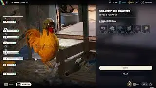 Commonwealth ARC Hunter